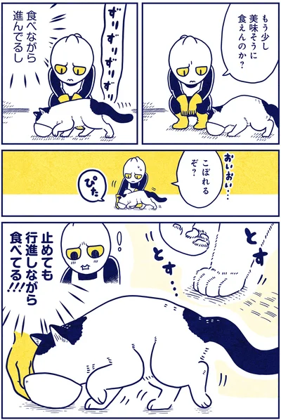 『宇宙人、猫と住む』より