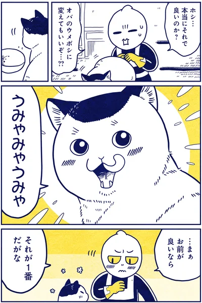 『宇宙人、猫と住む』より