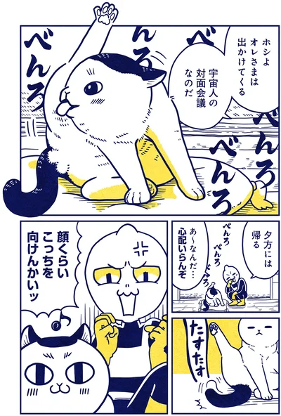 『宇宙人、猫と住む』より