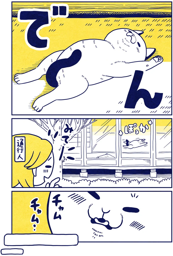 『宇宙人、猫と住む』より