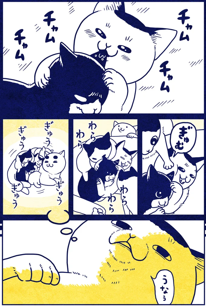 『宇宙人、猫と住む』より