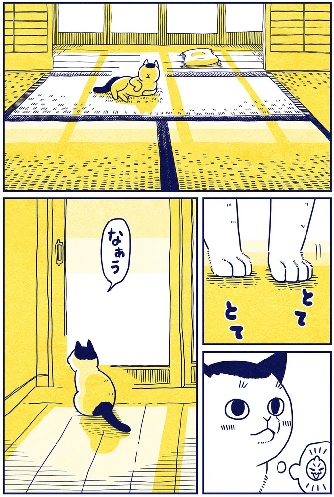 『宇宙人、猫と住む』より