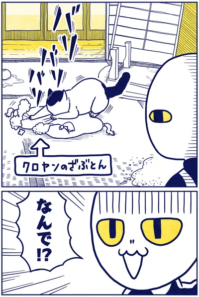『宇宙人、猫と住む』より