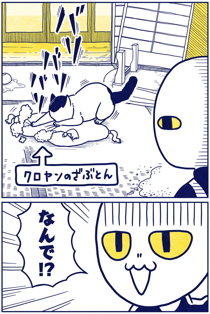『宇宙人、猫と住む』より