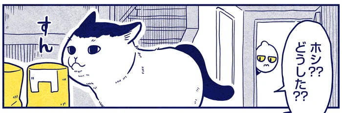 宇宙人は匂わない？同居を始めた猫が虚無顔になったもの／宇宙人、猫と住む（6）