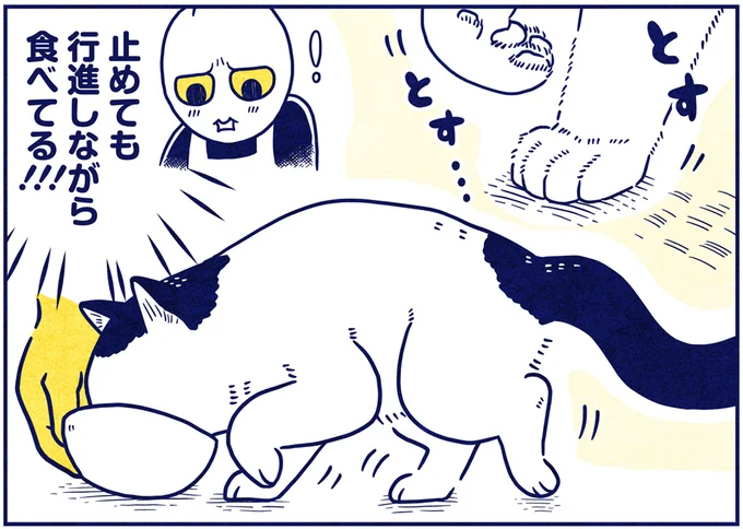 止めても行進しながら食べてる!!!