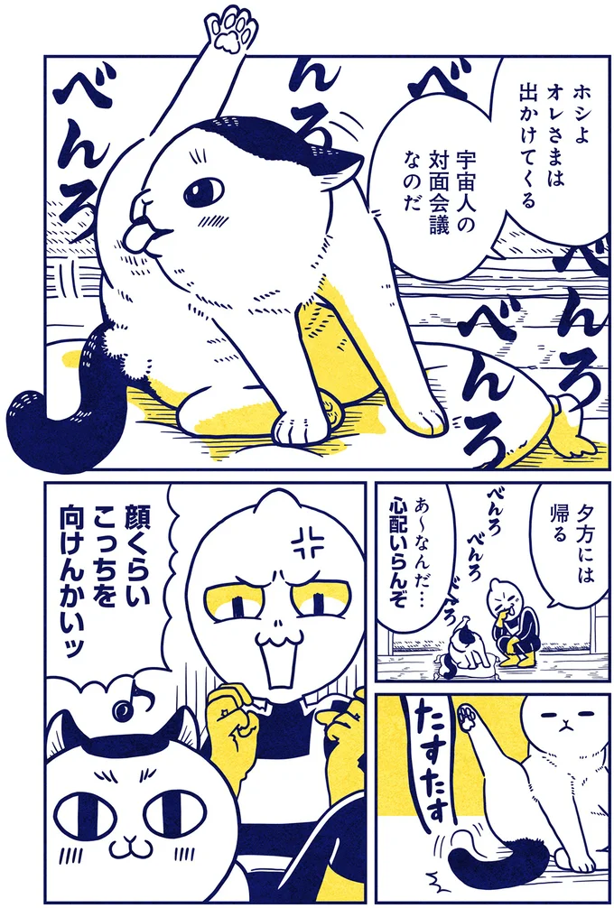 夕方には帰る