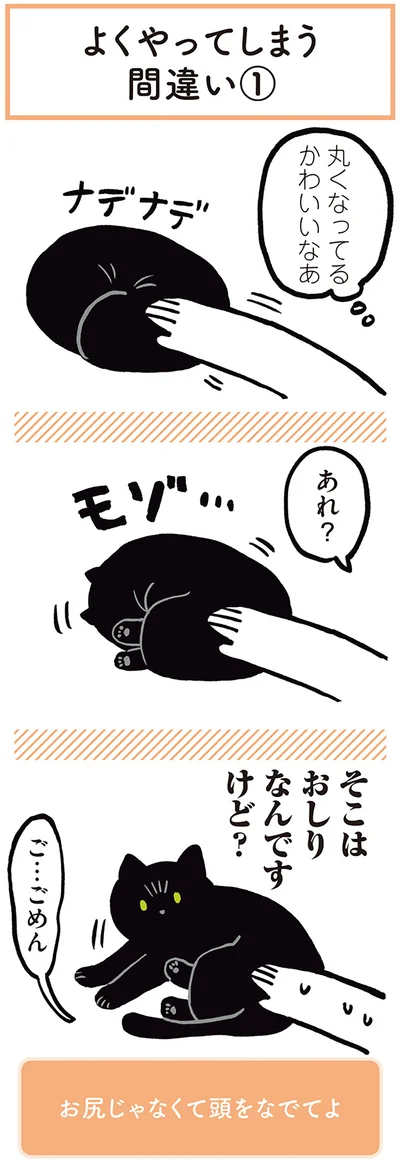 『黒猫ろんと暮らしたら』より