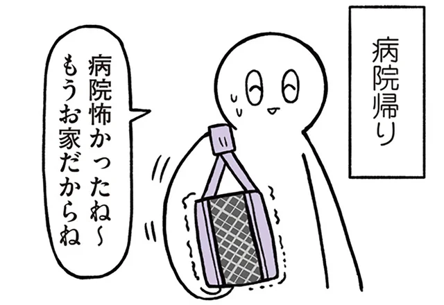 病院からの帰宅直後。キャリーバッグと黒猫ろんに起こったハプニングとは／黒猫ろんと暮らしたら（6）