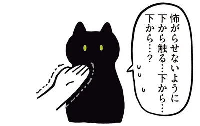 怖がらせないように下から触る…