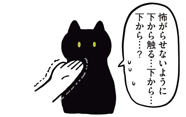 あごから？ほっぺから？猫の触り方に戸惑う飼い主と黒猫ろん／黒猫ろんと暮らしたら（7）