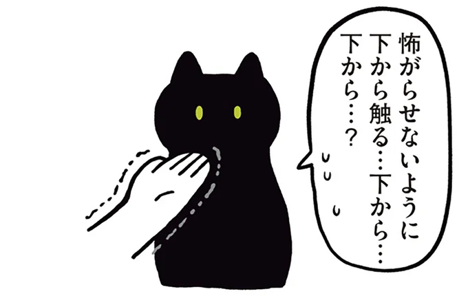怖がらせないように下から触る…