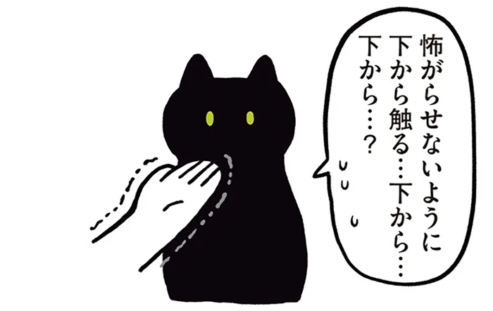 あごから？ほっぺから？猫の触り方に戸惑う飼い主と黒猫ろん／黒猫ろんと暮らしたら（7）