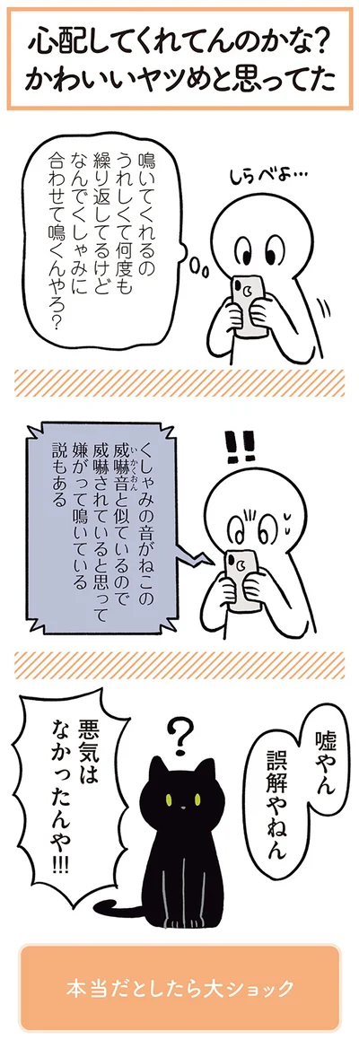 悪気はなかったんや！！