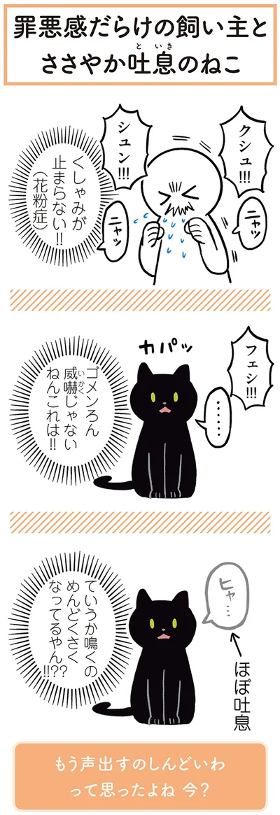 くしゃみが止まらない！！