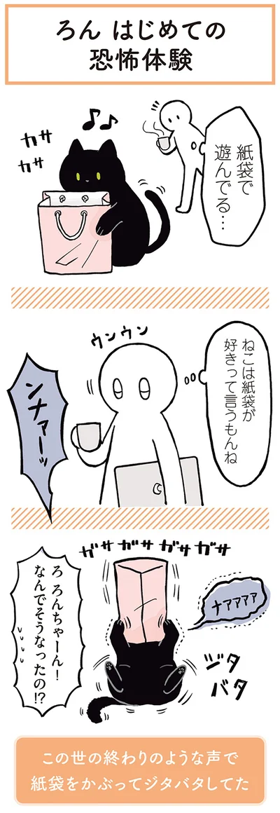 ねこは紙袋が好きって言うもんね