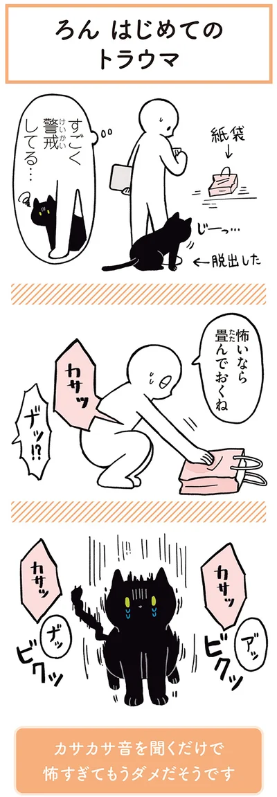 すごく警戒してる…