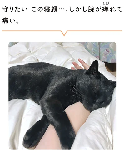 守りたい　この寝顔…