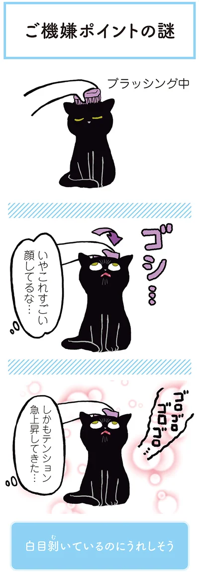 いやこれすごい顔してるな…