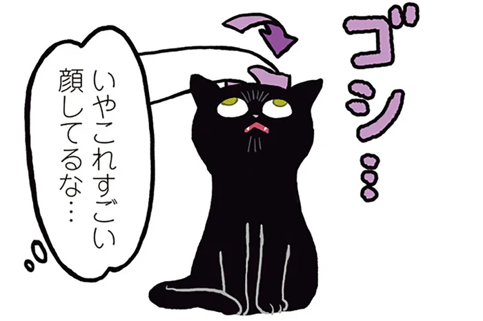 飼い主のブラッシング中。黒猫ろんの謎すぎるご機嫌ポイント／黒猫ろんと暮らしたら（15）