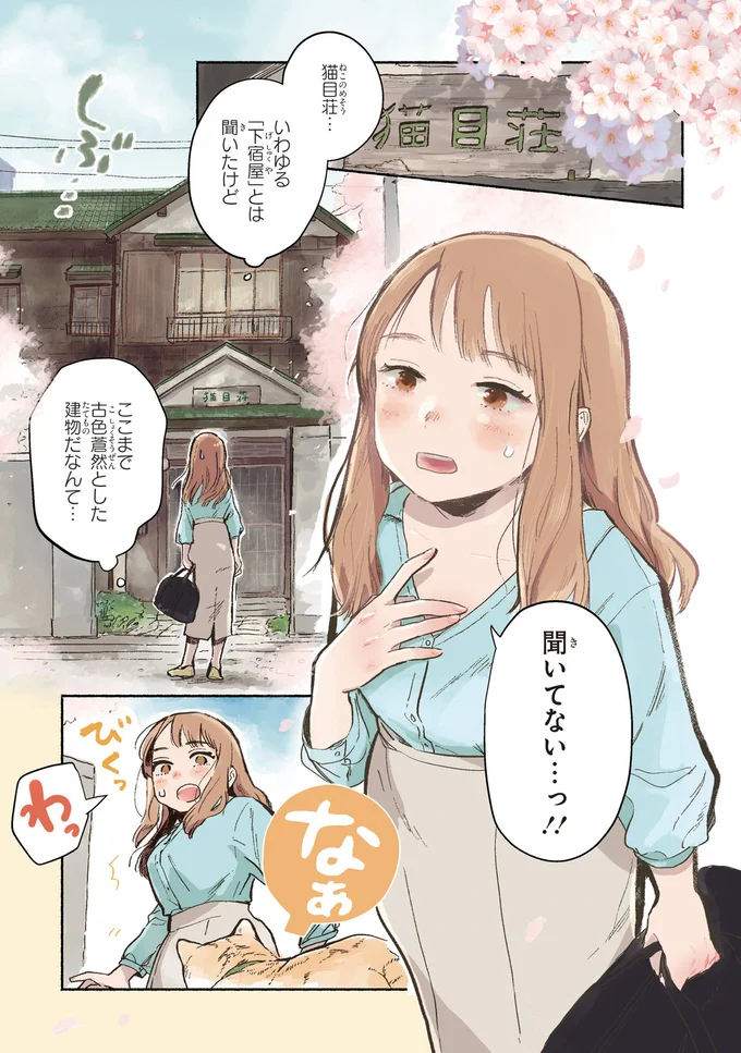 聞いてない…っ！！