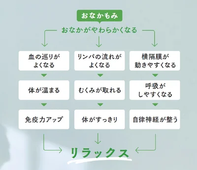 おなかもみのメカニズム