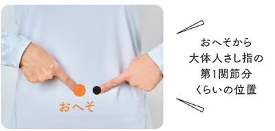 おへそから大体人さし指の第1関節分くらいの位置から