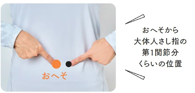 おへそから大体人さし指の第1関節分くらいの位置から