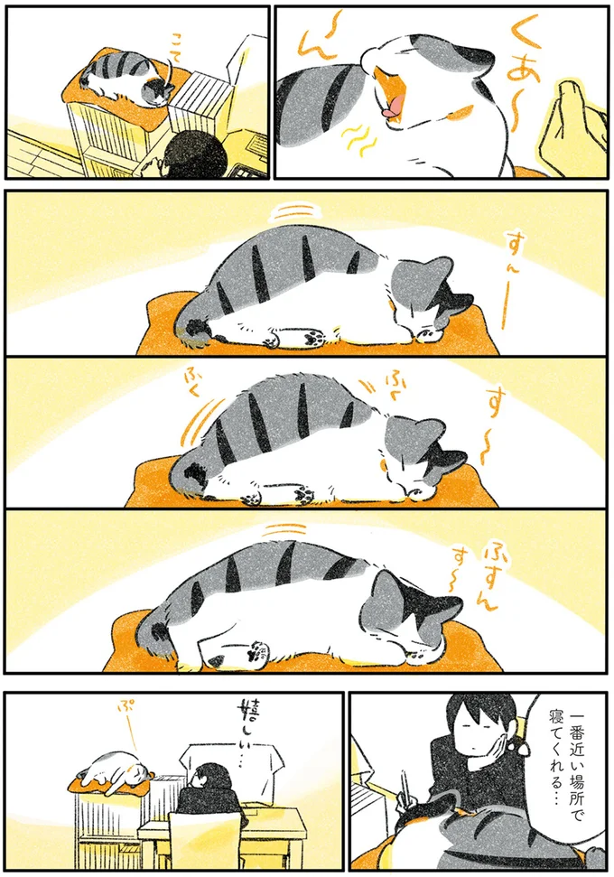 一番近い場所で寝てくれる…