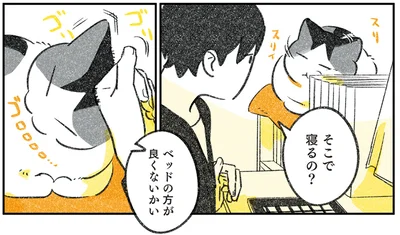 そこで寝るの？