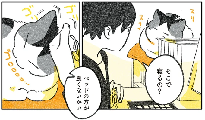 そこで寝るの?