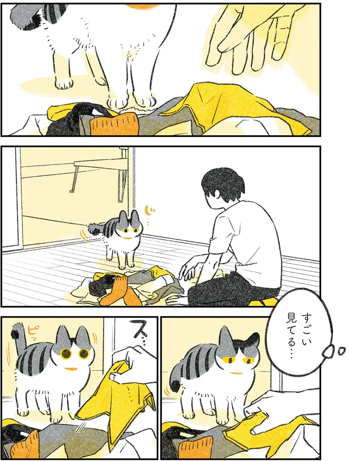 すごい見てる…
