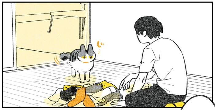 洗濯物をすごい見てる！ 突然スイッチが入ってお遊びモードになる猫