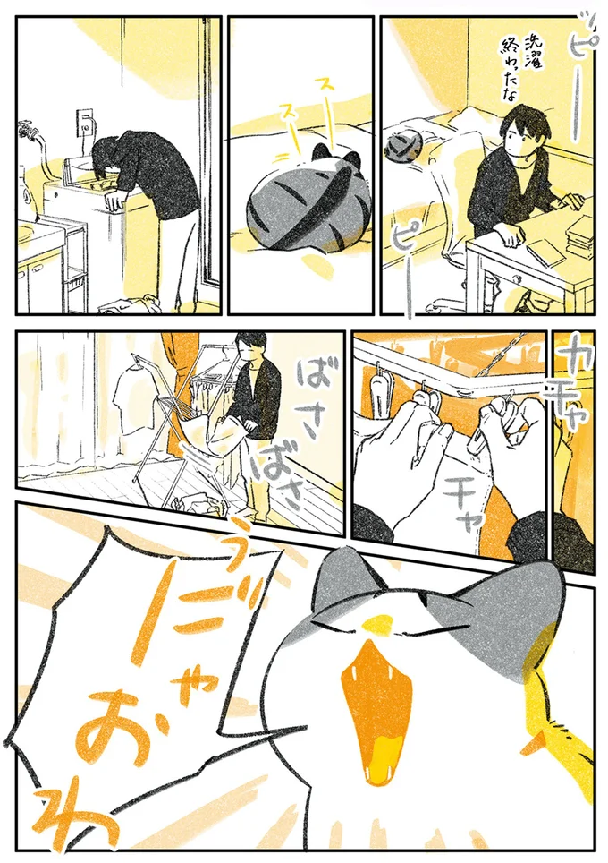 「探す猫と探される猫」