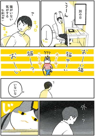 おーい猫やーい