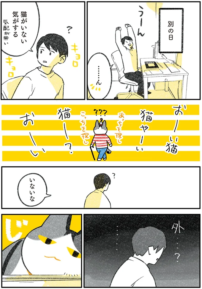 おーい猫やーい