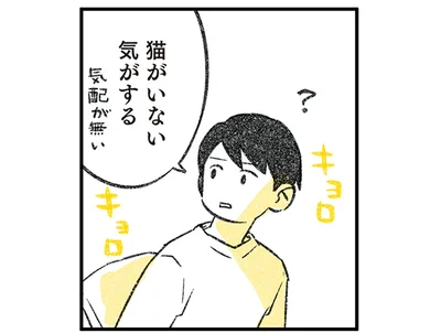 猫がいない気がする