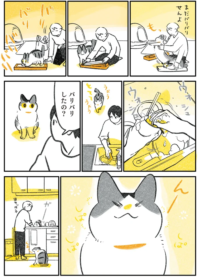 バリバリしたの？