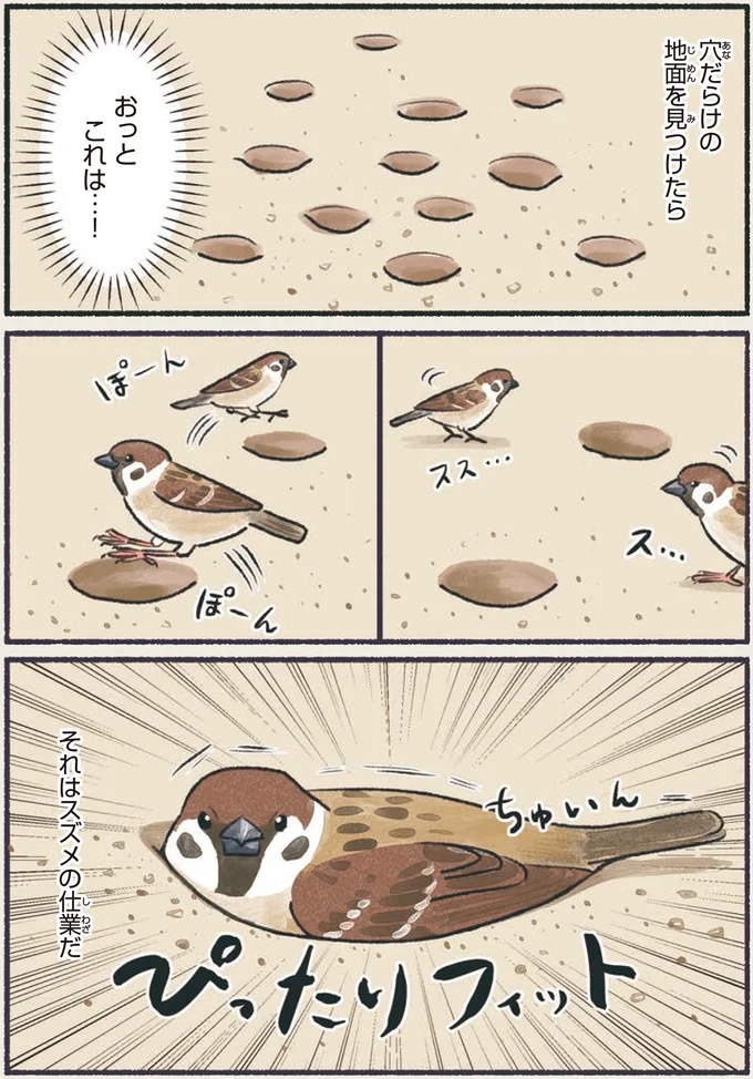 穴だらけの地面