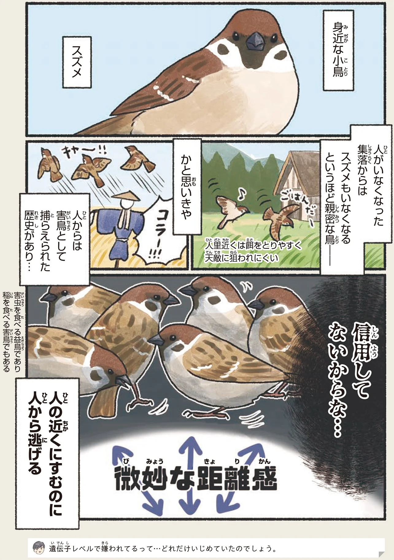 不可思議な穴だらけの地面。まさかスズメの仕業だったなんて！（画像4