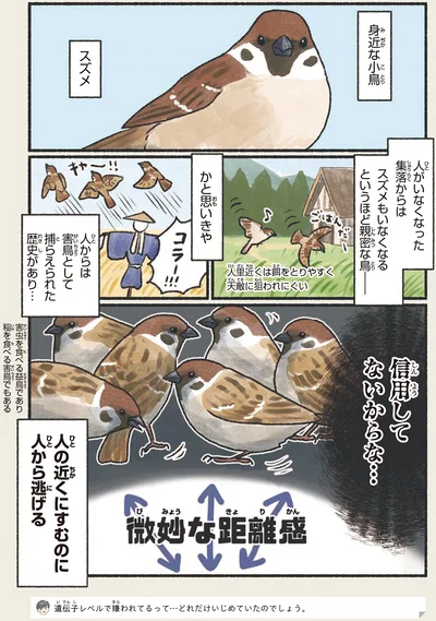 身近な小鳥スズメ