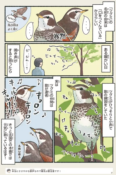 『意外と知らない鳥の生活』より