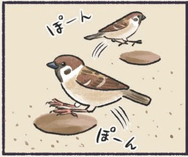 不可思議な穴だらけの地面。まさかスズメの仕業だったなんて！