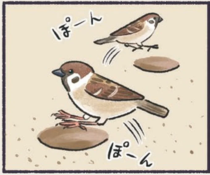 ぽーん ぽーん
