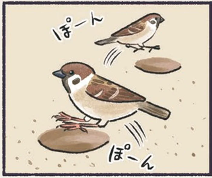 不可思議な穴だらけの地面。まさかスズメの仕業だったなんて！