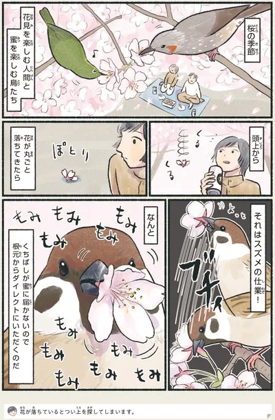 花が丸ごと落ちてきたら