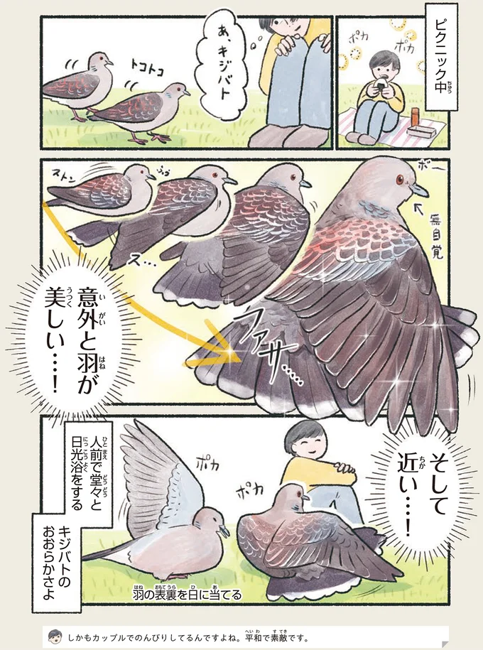 堂々と日光浴