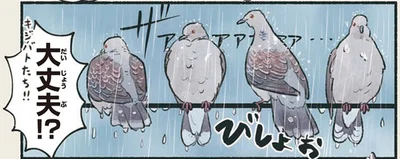 大丈夫！？