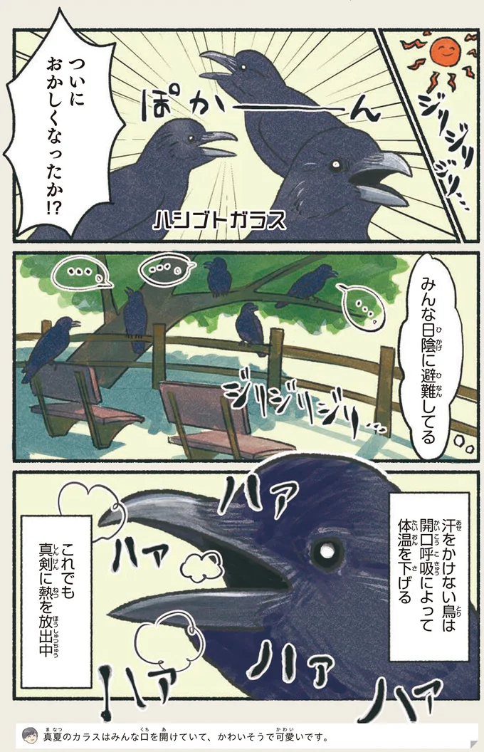 日陰に避難してる