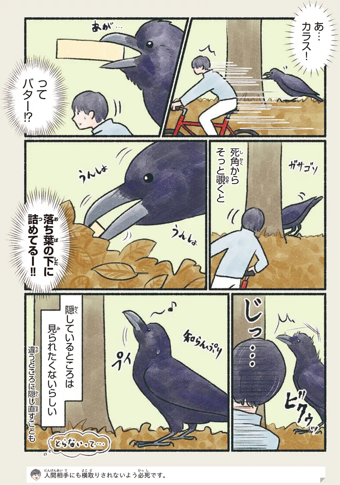 あ…カラス！